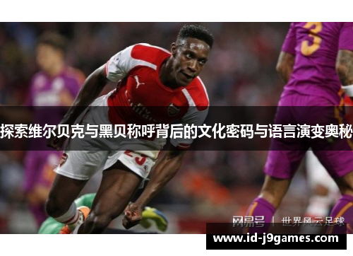 探索维尔贝克与黑贝称呼背后的文化密码与语言演变奥秘